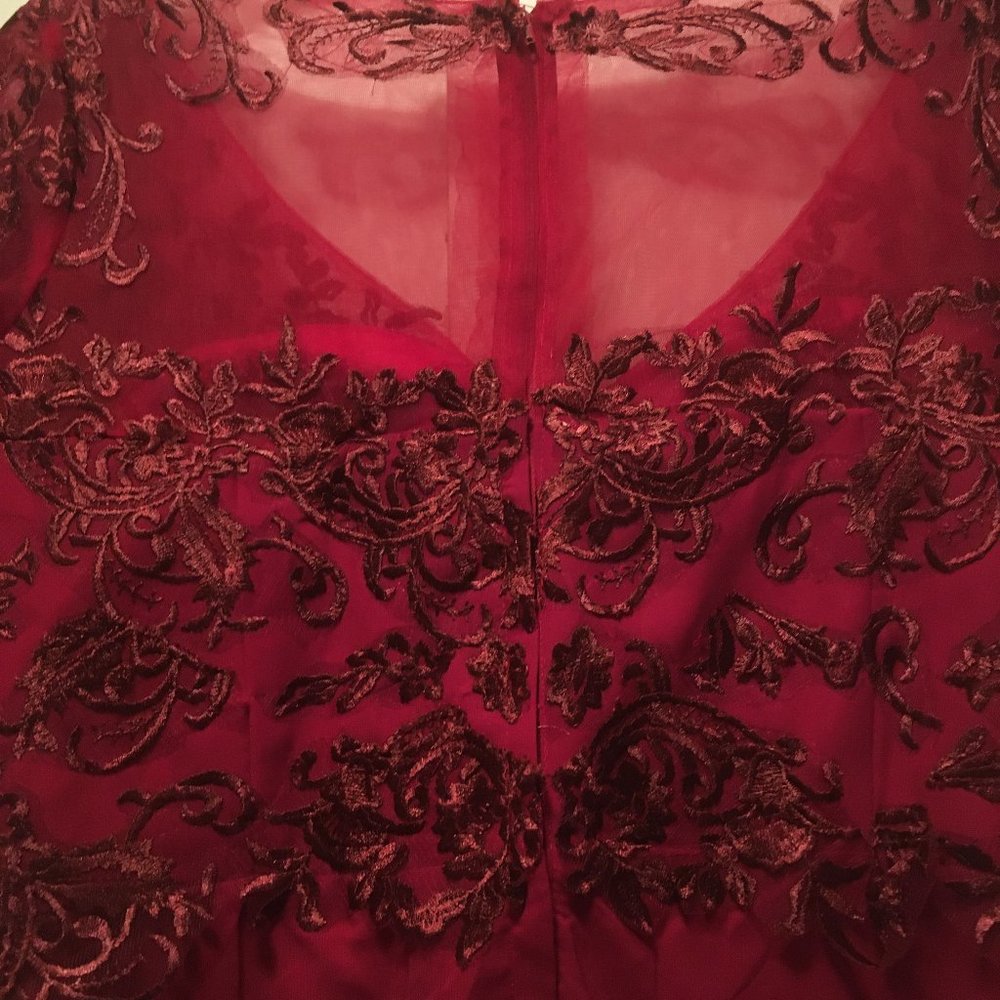 Gorgeous Fit and Flair Short Burgundy Dress - Picture 8 of 15